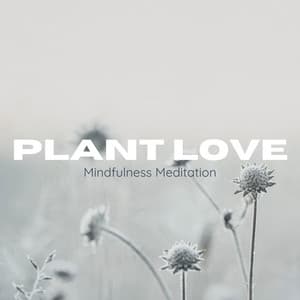 Mindfulness Meditation - Plant Love