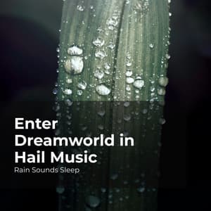 Enter Dreamworld in Hail Music - Rain Sounds Sleep