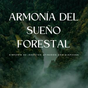 Armonía Del Sueño Forestal: Sinfonía De Insectos Afinados Con Diapasón - Grillos nocturnos