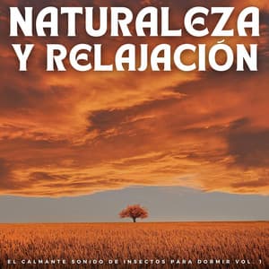 Naturaleza Y Relajación: El Calmante Sonido De Insectos Para Dormir Vol. 1 - Fondo de naturaleza y sonidos