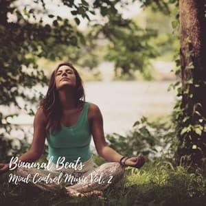 Binaural Beats: Mind Control Music Vol. 2 - Recorder Rain