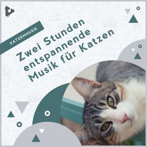 Zwei Stunden entspannende Musik für Katzen - Katzenmusik