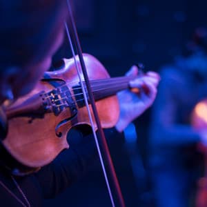 Classical Orchestra for Relaxing Dog Moments - Charles Anderson