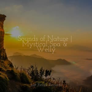 Sounds of Nature | Mystical Spa & Welly - Ambiente