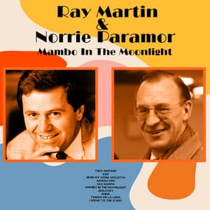 Mambo in the Moonlight - Ray Martin