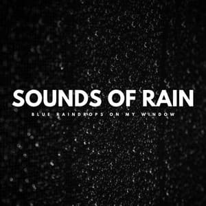 Sounds Of Rain: Blue Raindrops On My Window - Nature Sounds XLE Library