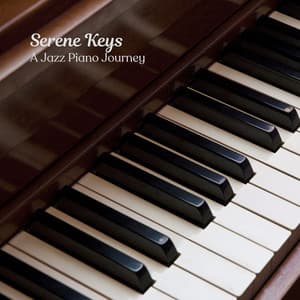 Serene Keys: A Jazz Piano Journey - Jazz In The Kitchen