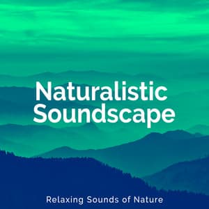 Naturalistic Soundscape - Relaxing Sounds Of Nature