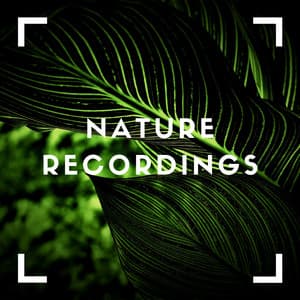 Green Vibes for Relaxing - Natural Sample Makers