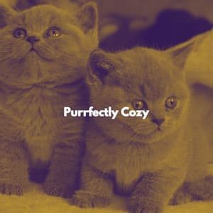 Purrfectly Cozy - Relaxing Music for Cats