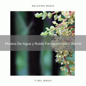 Música De Agua y Ruido Fantastico para Dormir - Ruido Blanco Para Estudiar