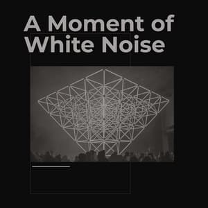 A Moment of White Noise - Binaural Beats Brainwave Entrainment