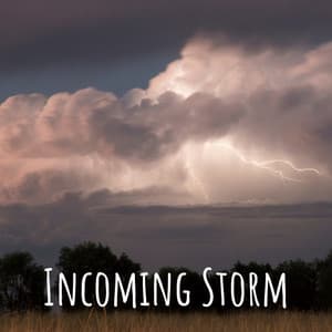 Incoming Storm - Selective Sounds PTA