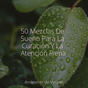 50 Mezclas De Sueño Para La Curación Y La Atención Plena - Música ambiental relajante