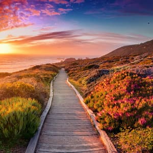 Tonos Relajantes: Música Para Aliviar El Estrés - Especialistas en Música Relajante