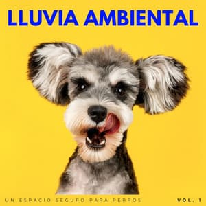 Lluvia Ambiental: Un Espacio Seguro Para Perros Vol. 1 - Fabricantes de lluvia suave