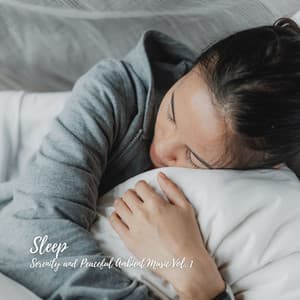 Sleep: Serenity and Peaceful Ambient Music Vol. 1 - Sleep Dog