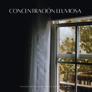 Concentración Lluviosa: Sonidos Relajantes Para Un Enfoque Óptimo - Relajantes sonidos de lluvia