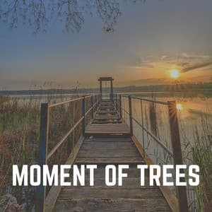 Moment of Trees - Sound of Nature Library