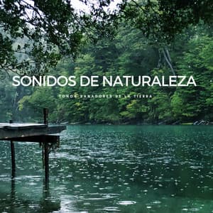Sonidos De Naturaleza: Tonos Sanadores De La Tierra - Sonidos de la Naturaleza para Dormir