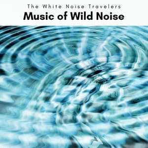 1 Music of Wild Noise - The White Noise Travelers