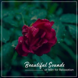 18 Rain and Nature Classics: Thunder, Lightning, Storms and Rain - Rain Sound Studio