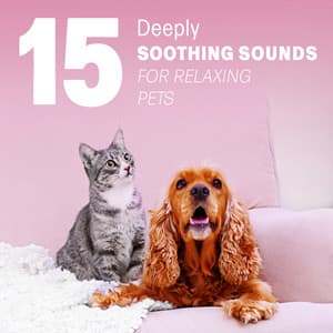 15 Deeply Soothing Sounds for Relaxing Pets: White Noise, Sleep and Nature Music for Animals - Pet Relax Academy