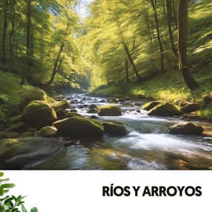 Ríos y Arroyos: Canciones que acarician el alma - Ruido Blanco Hart