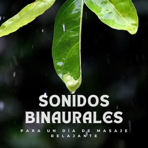 Sonidos binaurales para un día de masaje relajante - Doctor Hz