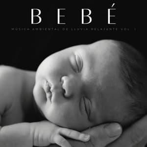 Bebé: Música Ambiental De Lluvia Relajante Vol. 1 - La lluvia es mi vida