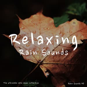 Relaxing Rain Sounds - Rain Sounds HD