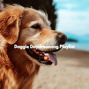 Doggie Daydreaming Playlist - Jazz for Study