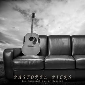 Pastoral Picks: Relaxing Guitar Covers - Instrumental Guitar Masters