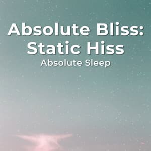 Absolute Bliss: Static Hiss - Absolute Sleep
