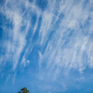 Mid-Afternoon Blue - Byelti