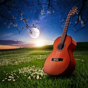 Guitar Music: Soothing Melodies for Relaxation - Popular Guitar Music
