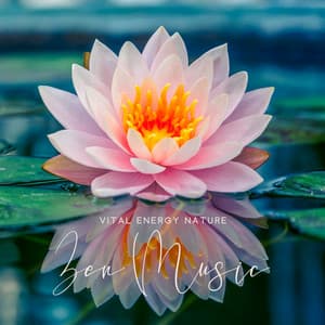 Vital Energy Nature Zen Music for Reiki, Qi Gong, Tai Chi, Mindfulness Meditation, Yoga - Sweet Music Relaxation