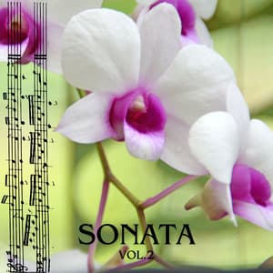 Sonata vol.2 - Edwin Fischer