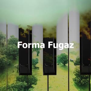 Forma Fugaz - Relajación Piano
