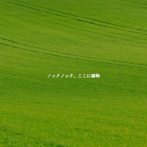 ノックノック、ここに植物 - Jazz para Estudiar