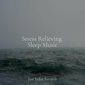 Stress Relieving Sleep Music - Musica para Meditar