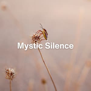 Mystic Silence - Relaxing Radiance