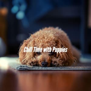 Chill Time with Puppies - Dog Chill Out Music