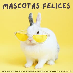 Mascotas Felices: Sonidos Pacíficos De Vientos Y Pájaros Para Relajar A Tu Gato - Naturaleza y selección de la selva tropical colectiva