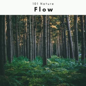 4 Flow - 101 Nature