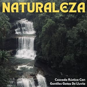 Naturaleza: Cascada Rústica Con Gentilas Gotas De Lluvia Vol. 2 - Don Lluvia