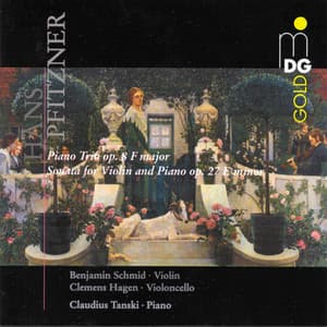 Pfitzner: Piano Trio, Op. 8 & Violin Sonata - Hans Pfitzner