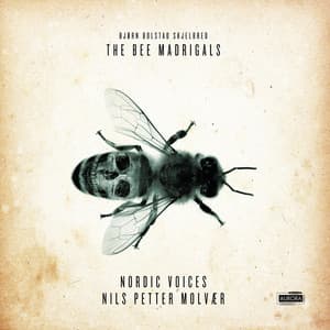 The Bee Madrigals - Bjørn Bolstad Skjelbred