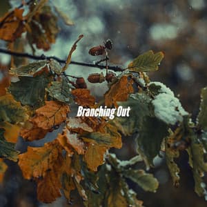 Branching Out - Summer Chilling Jazz