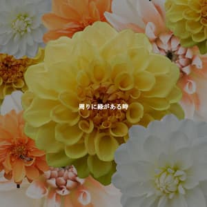 周りに緑がある時 - Study Music Deluxe